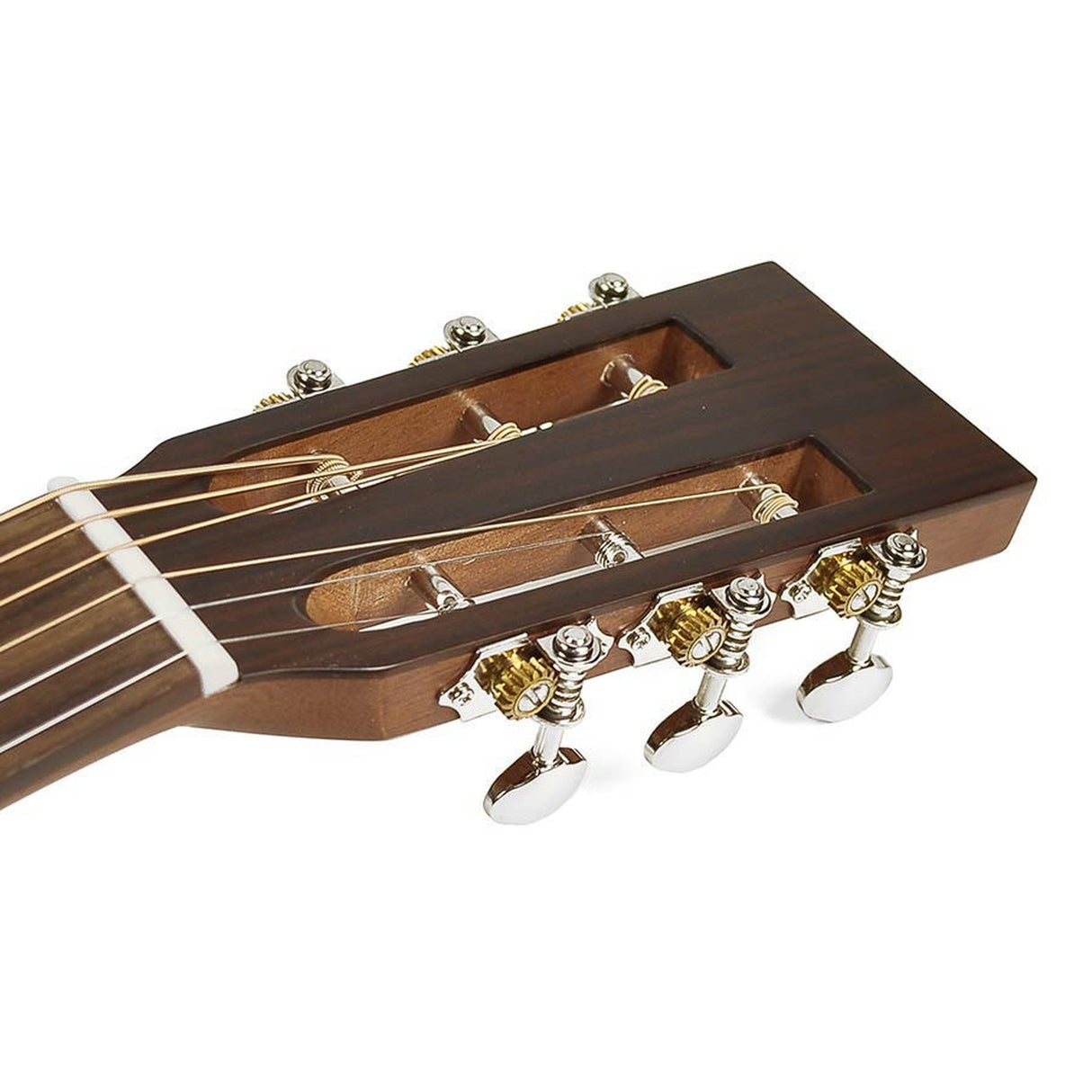 Richwood P-65-VA Master Series handgemaakte Parlor gitaar