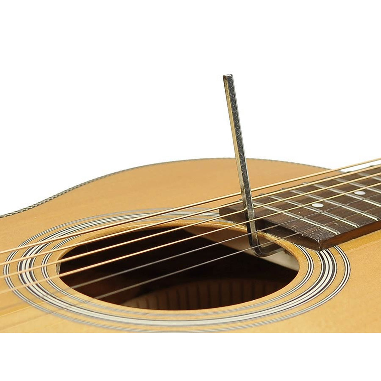 Richwood P-65-VA Master Series handgemaakte Parlor gitaar