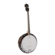 Richwood RMB-604 Heritage Series tenor banjo 4-snarig