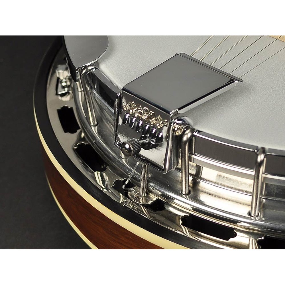 Richwood RMB-906 Heritage Series gitaar banjo