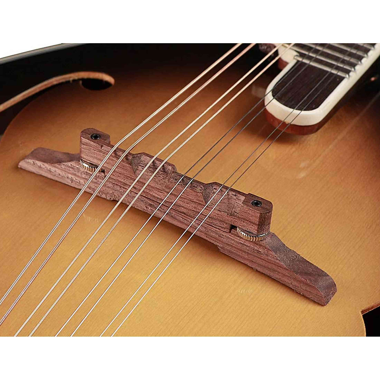 Richwood RMF-60-VS F-Style Mandoline – Sparren & Mahonie, Vintage Sunburst Hoogglans