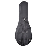 Boston CBJ-250 Softcase nylon softcase met polystyreen vulling voor gitaar/folk/tenor banjo