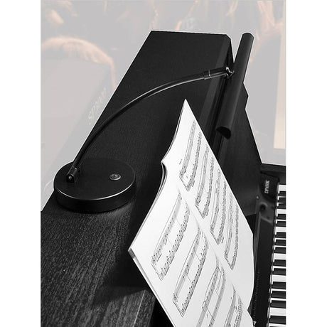 Boston PLM-600-BK zwarte piano lamp