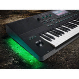 Medeli AKX10 Arranger Pro Series keyboard