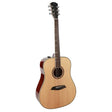 Sire Guitars A4DSNT akoestische dreadnought, massieve roasted top en achterblad, SIB electronica, naturel