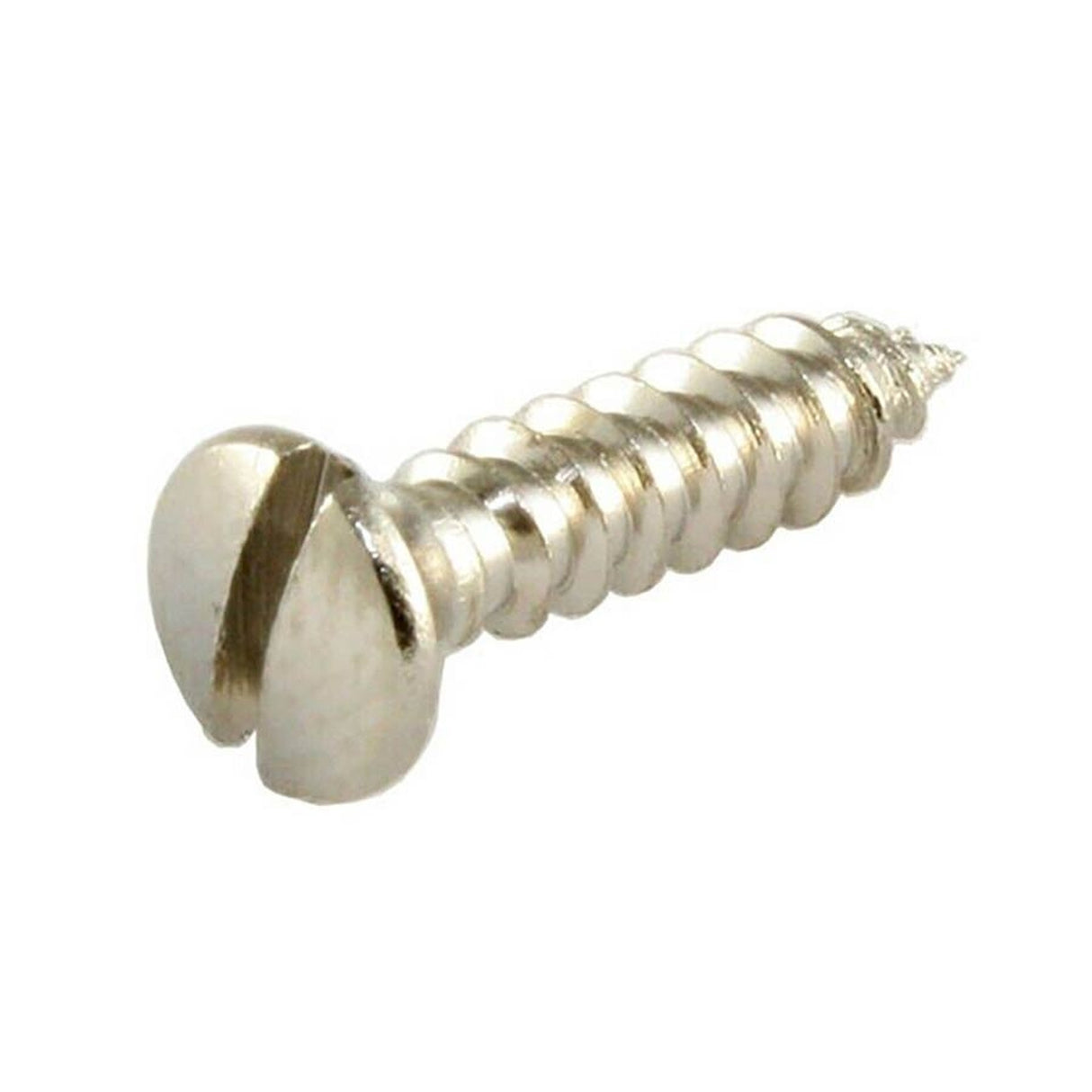 Allparts GS0014001 pickguard screws, slotted, 20pcs