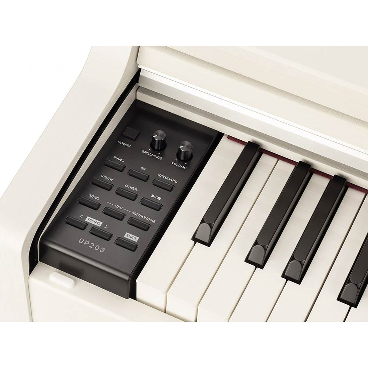 Medeli UP203/WH Andromeda Series Witte Digitale piano