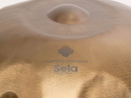 Sela SE 201 Stainless Steel Handpan D Kurd 440 Hz goud handgemaakt met gevoerde draagtas