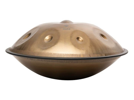 Sela SE 201 Stainless Steel Handpan D Kurd 440 Hz goud handgemaakt met gevoerde draagtas