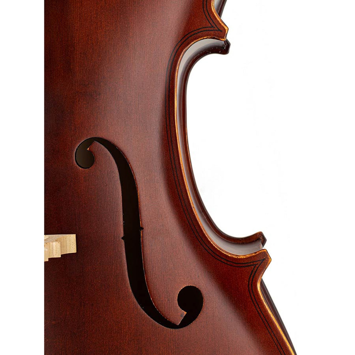 Leonardo LC-1312 cello 1/2, laminated with flamed back & sides, ebony fittings, bag and bow