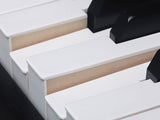 Medeli DP650KW/GB digitale piano hoogglans zwart
