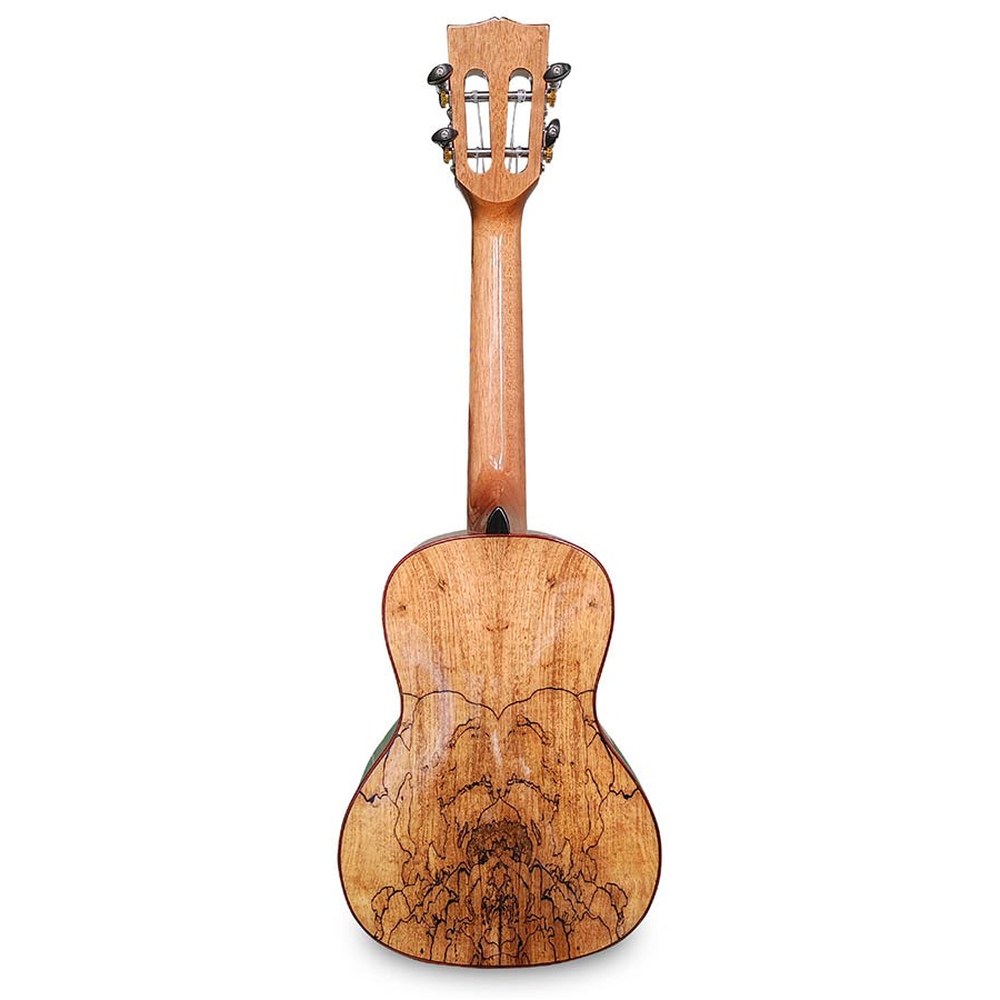 Korala UKC-830 Arched Back Concert ukulele