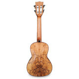 Korala UKC-830 Arched Back Concert ukulele