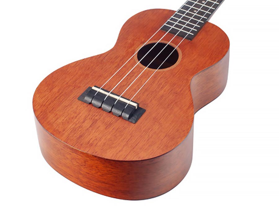 Mahalo MJ2VTTBR Java Series Concert Ukulele Transparant Bruin