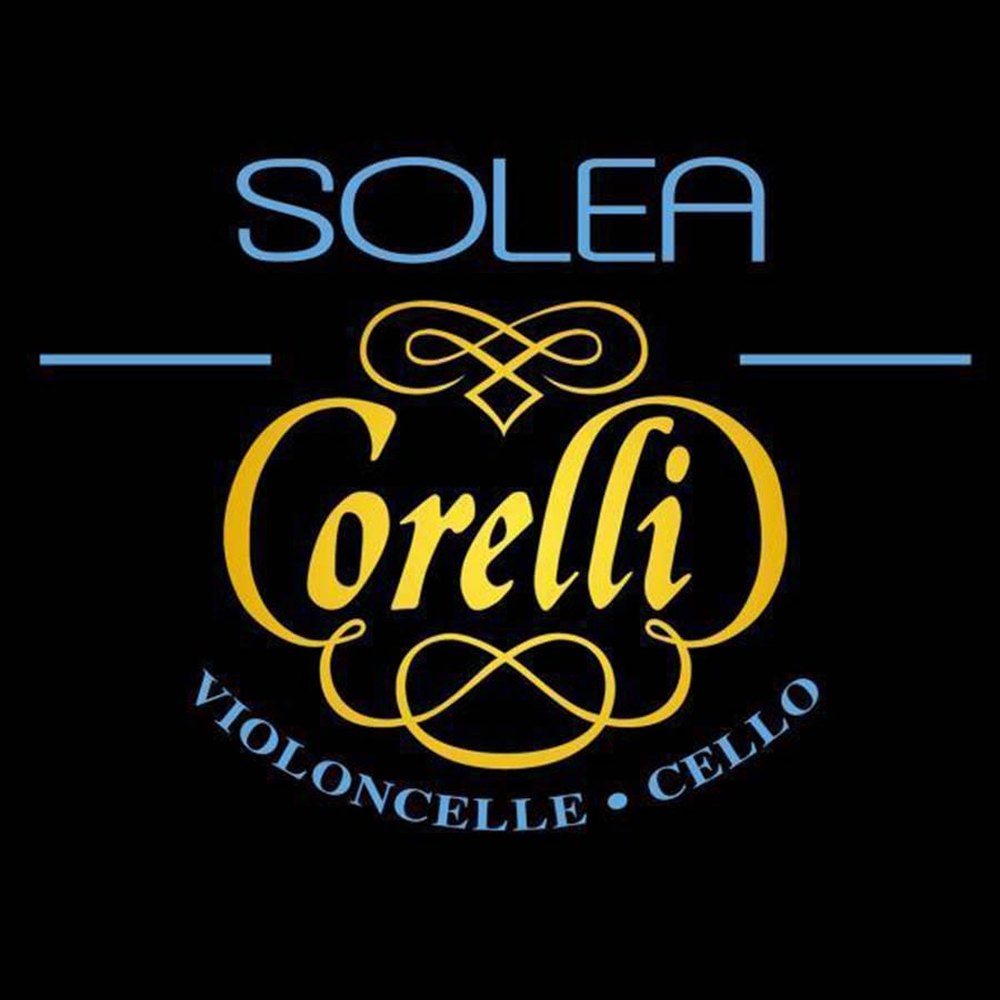 Corelli CO-682-M cello string D-2 4/4, medium, steel core, multialloy aluminum