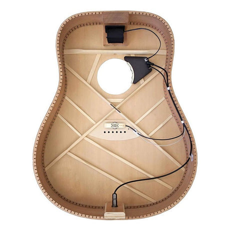 LR Baggs Anthem Actief Microfoonsysteem met Klankgatvoorversterker