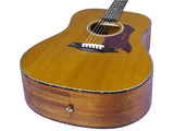 Bromo BAN1V Denali Series dreadnought gitaar, torified solid spruce top, mahogany body, natural gloss, heavy duty tas