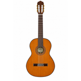 Aria A-20 N klassieke gitaar met massief ceder