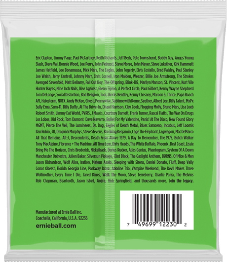 Ernie Ball 2230 elektrische gitaarsnaren 12-snarig (008-040)
