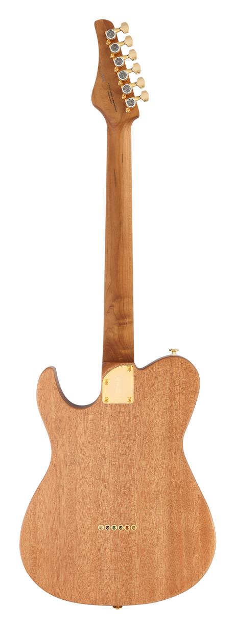 FGN Expert Iliad elektrische gitaar Natural Flat, Madagascar Rosewood Top, 22 RVS frets, met koffer