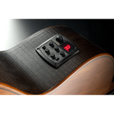 Lâg SAUVAGE-PE Semi-Akoestische Parlor Western Gitaar