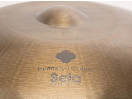 Sela SE 202 Stainless Steel Handpan D Amara 440 Hz goud handgemaakt met gevoerde draagtas