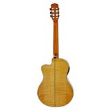 Aria A-48CE Thinline met Hybride hals