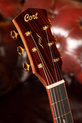 Cort Gold-A10 Cocobolo – Massief AAA Cocobolo, Torrefied Adirondack & Fishman Flex Blend