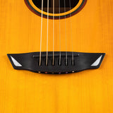 Cort Luxe II Frank Gambale Signature – Massieve Adirondack Top, Flamed Blackwood & Fishman Flex Blend