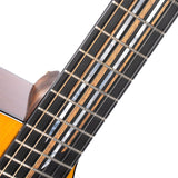 Cort Luxe II Frank Gambale Signature – Massieve Adirondack Top, Flamed Blackwood & Fishman Flex Blend