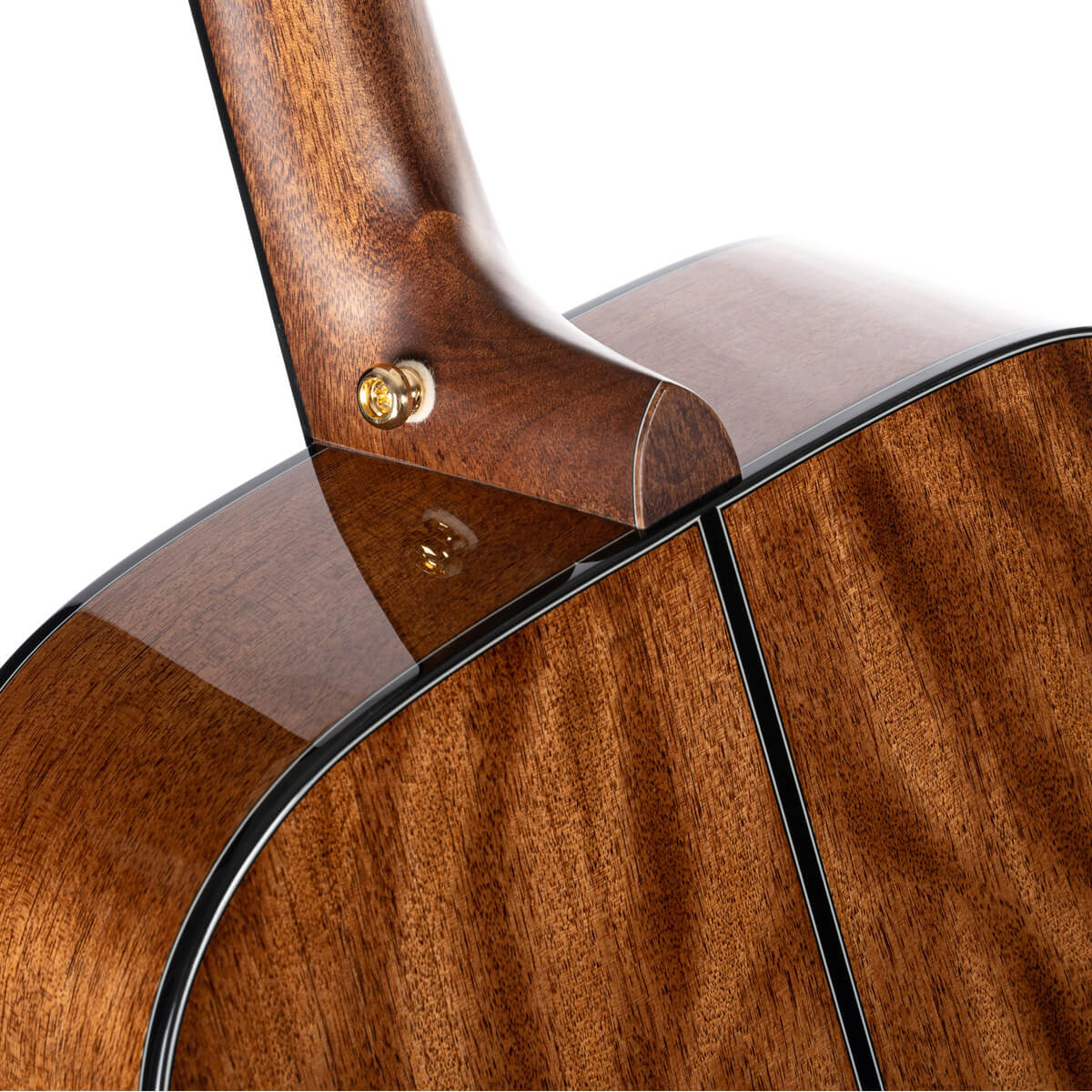 Cort Gold-D6 – Massief Mahonie, Torrefied Sitka & Puur Akoestisch