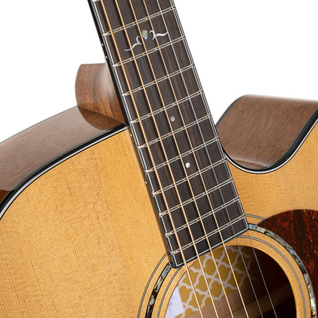 Cort Gold-DC6 – Massief Mahonie, Torrefied Sitka & Fishman Flex Blend