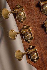 Cort Gold-DC6 – Massief Mahonie, Torrefied Sitka & Fishman Flex Blend