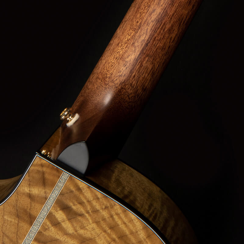 Cort Gold-Edge – Massief Flamed Myrtlewood, Torrefied Sitka & L.R. Baggs Anthem