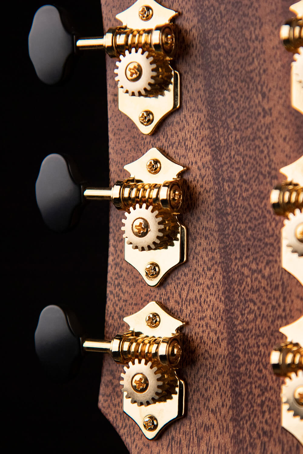 Cort Gold-Edge – Massief Flamed Myrtlewood, Torrefied Sitka & L.R. Baggs Anthem