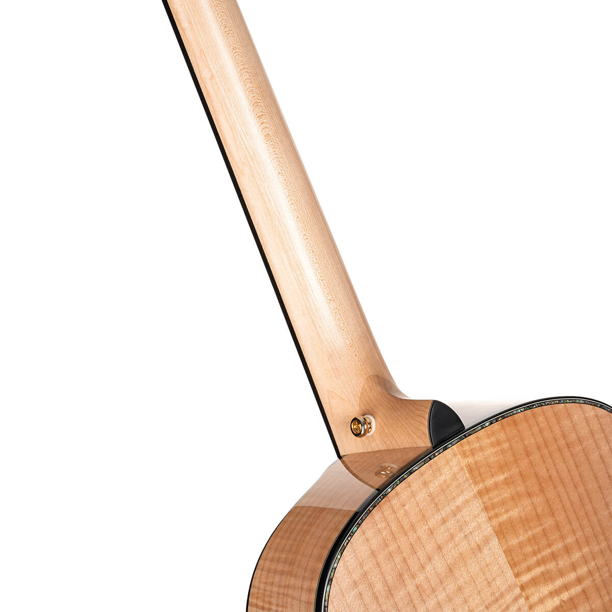 Cort Gold-Passion – Massief Flamed Maple, Engelmann Spruce & L.R. Baggs Anthem