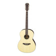 Aria MSG-02 N naturel akoestische western gitaar