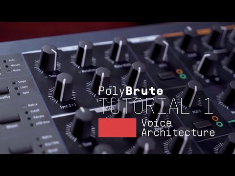 Arturia PolyBrute Noir – 61 toetsen, analoog, morphée controller, ribbon, 6-stemmig