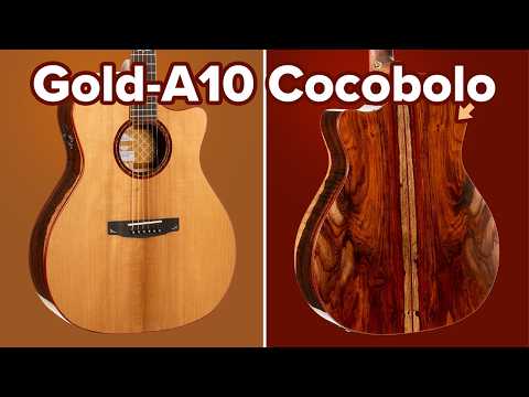 Cort Gold-A10 Cocobolo – Massief AAA Cocobolo, Torrefied Adirondack & Fishman Flex Blend