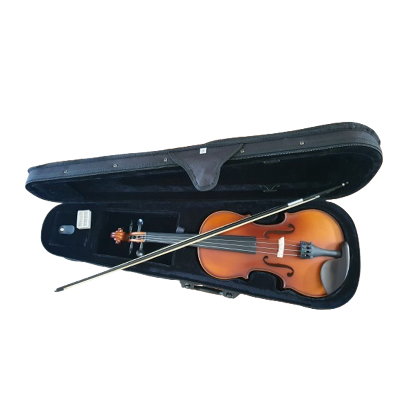 Scarlatti OVB-310E-2 4/4 All Solid viool set met carbon strijkstok en koffer