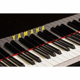 Yamaha GB1 K